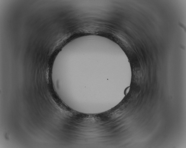 X0000098100404200804251409
