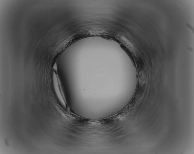 X0000098100405200804251409
