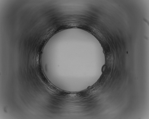 X0000098100406200804251409