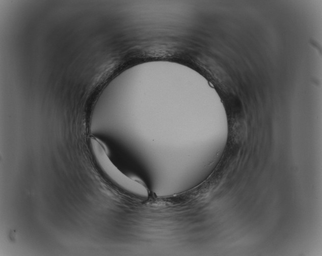 X0000098100407200804251409