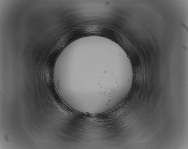 X0000098100408200804251409