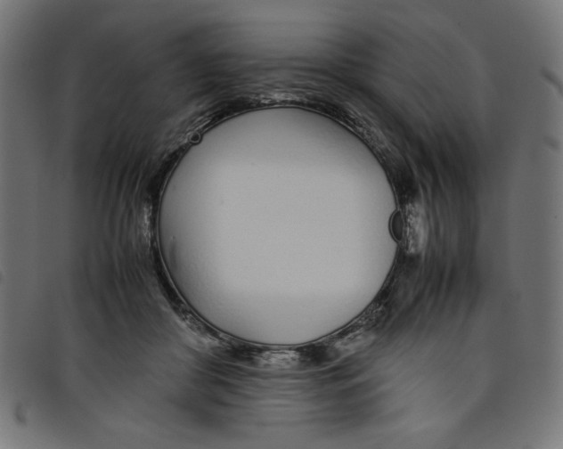 X0000098100410200804251409