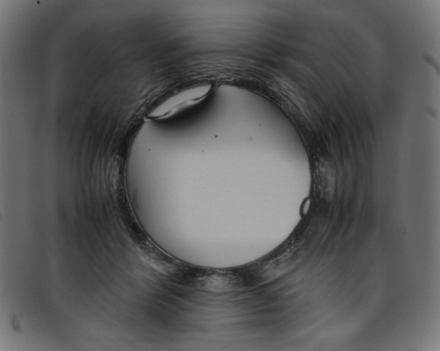 X0000098100412200804251409
