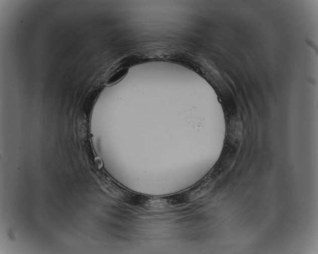 X0000098100413200804251409