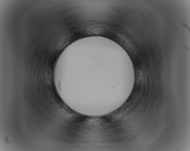 X0000098100414200804251409