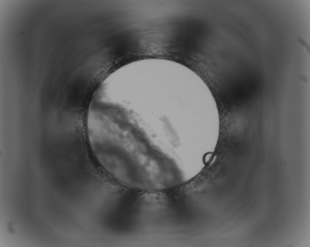 X0000098100415200804251409