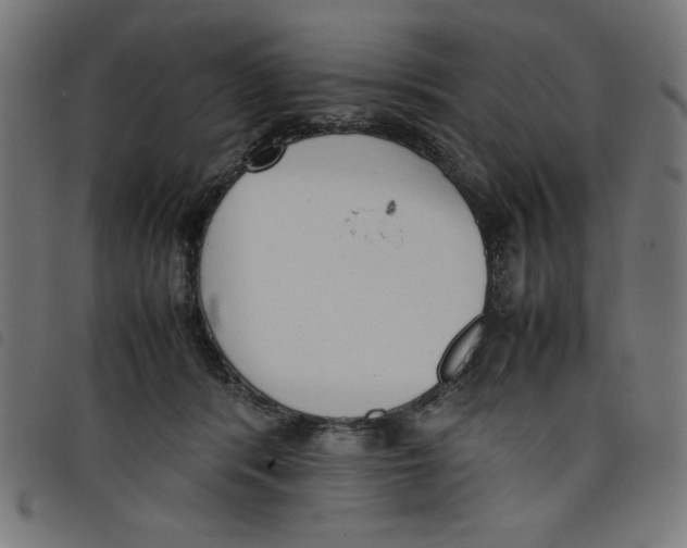 X0000098100416200804251409