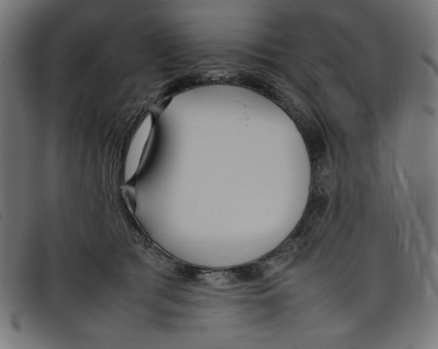 X0000098100417200804251409
