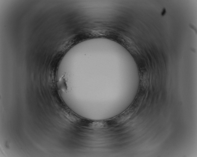 X0000098100418200804251409