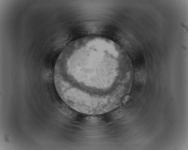 X0000098100419200804251409