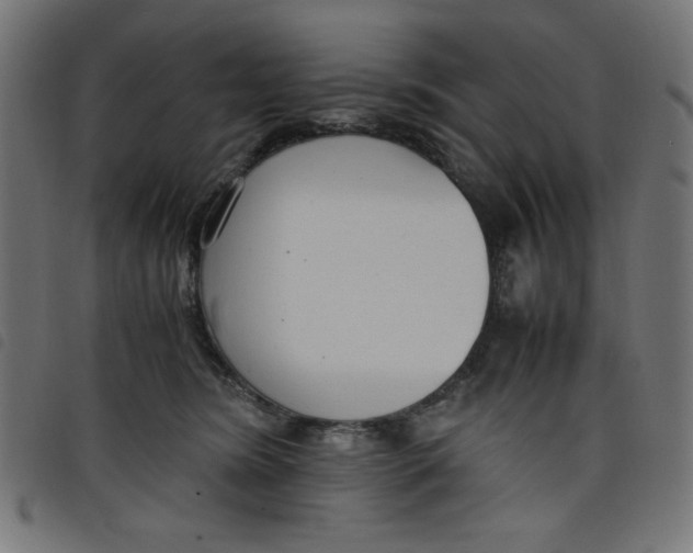 X0000098100420200804251409