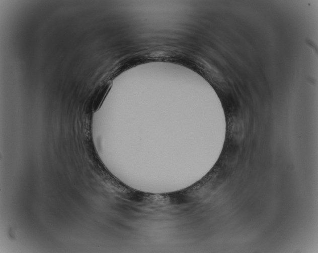 X0000098100421200804251409