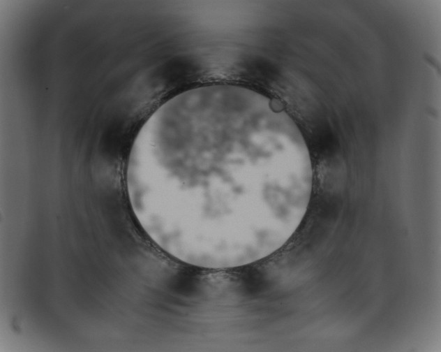 X0000098100423200804251409