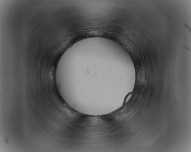 X0000098100424200804251409