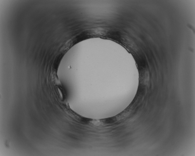 X0000098100425200804251409