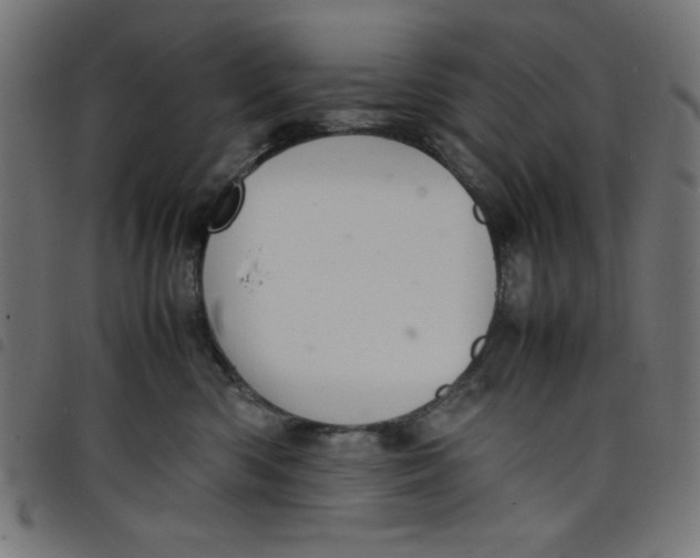 X0000098100426200804251409