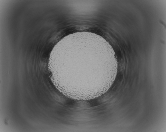 X0000098100427200804251409