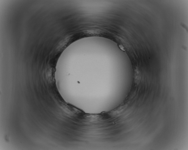 X0000098100428200804251409