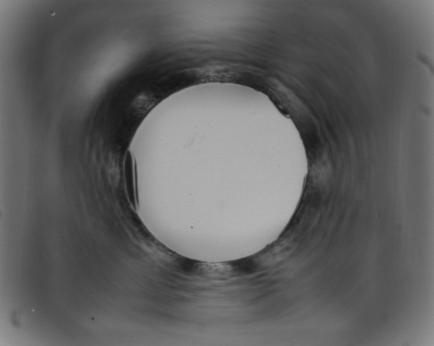 X0000098100429200804251409
