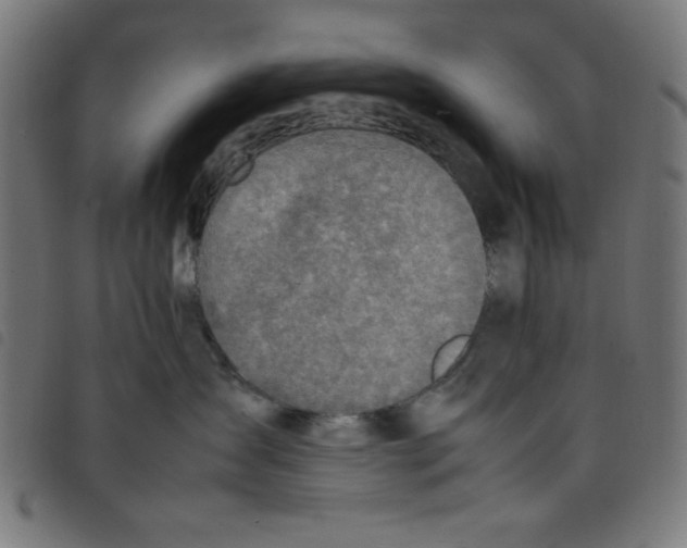 X0000098100431200804251409