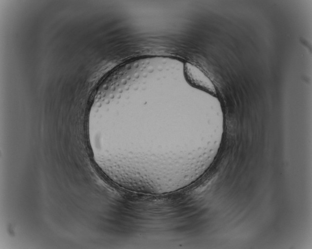X0000098100433200804251408