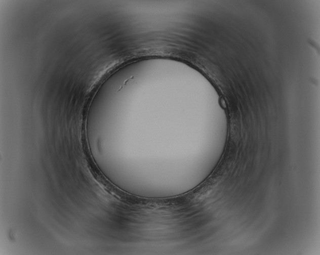X0000098100434200804251408