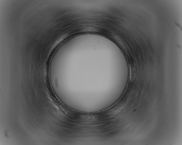 X0000098100435200804251408