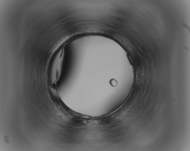 X0000098100436200804251408
