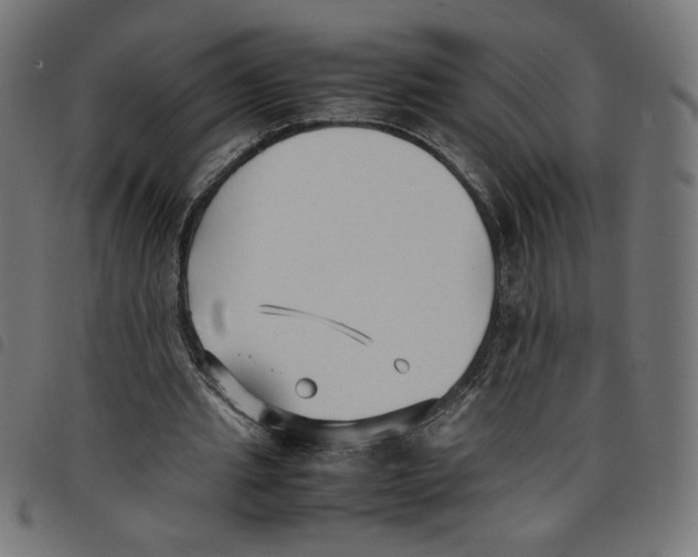 X0000098100437200804251408