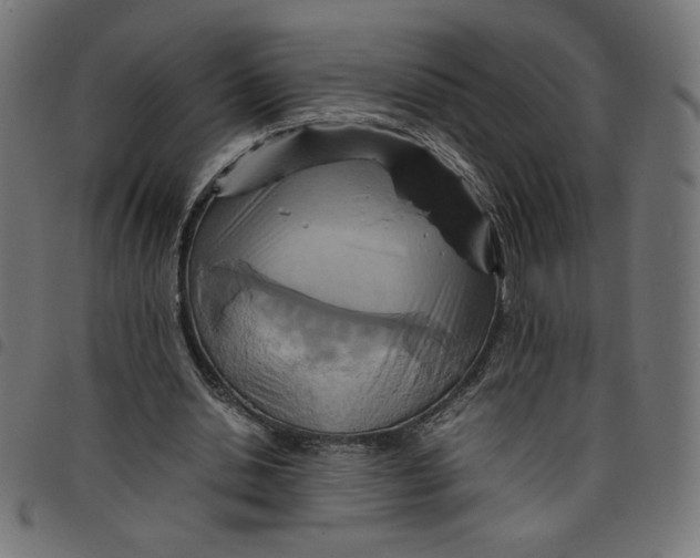 X0000098100438200804251408