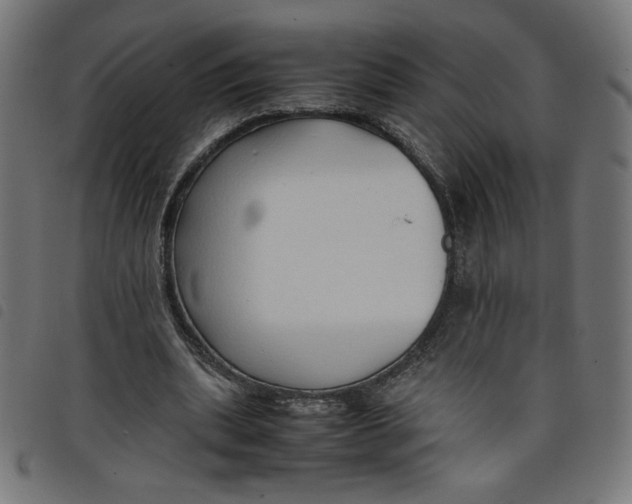 X0000098100439200804251408