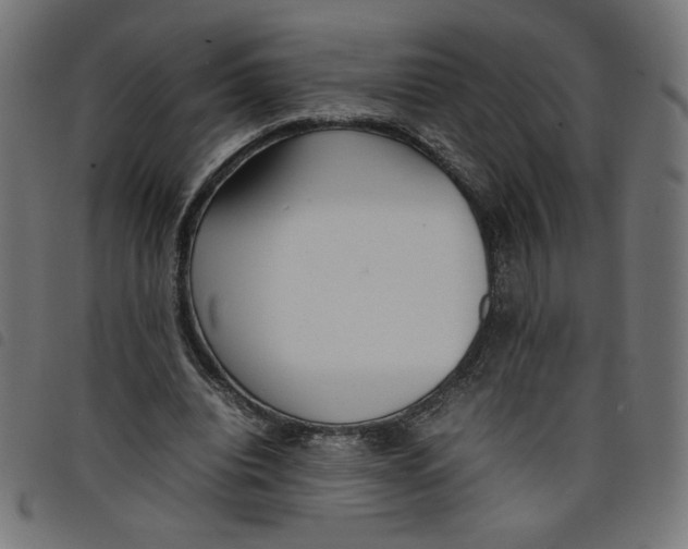 X0000098100440200804251408