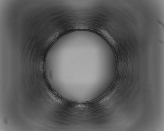 X0000098100441200804251408