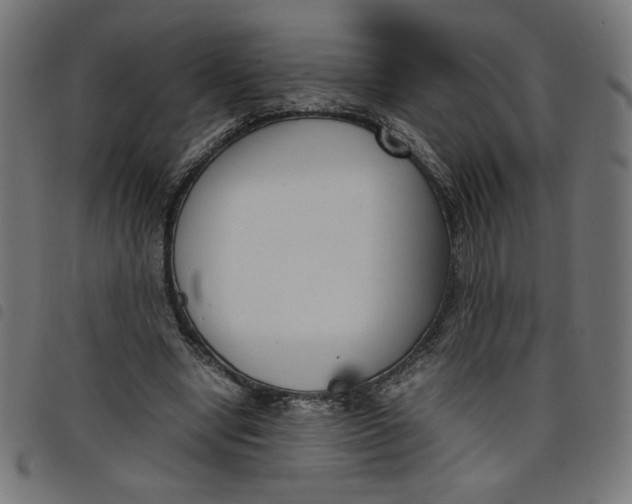 X0000098100442200804251408