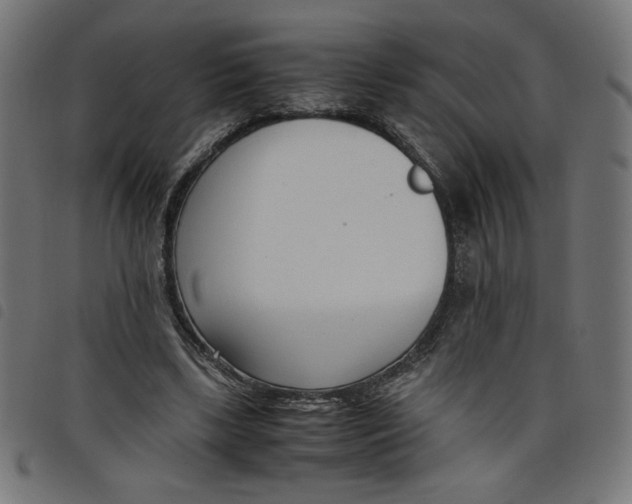 X0000098100443200804251408