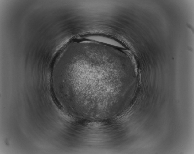 X0000098100444200804251408