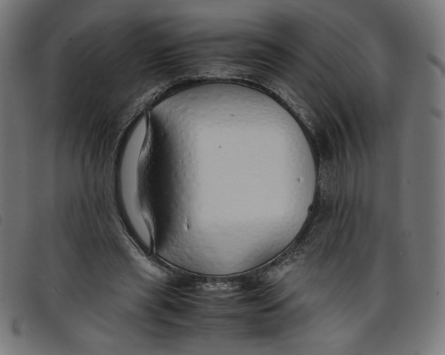 X0000098100445200804251408