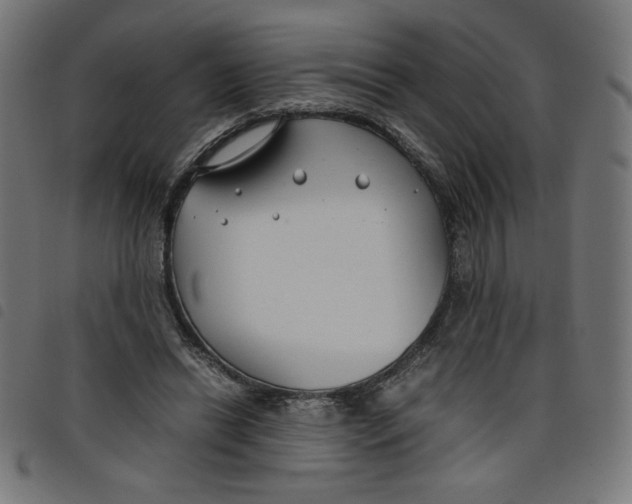 X0000098100446200804251408
