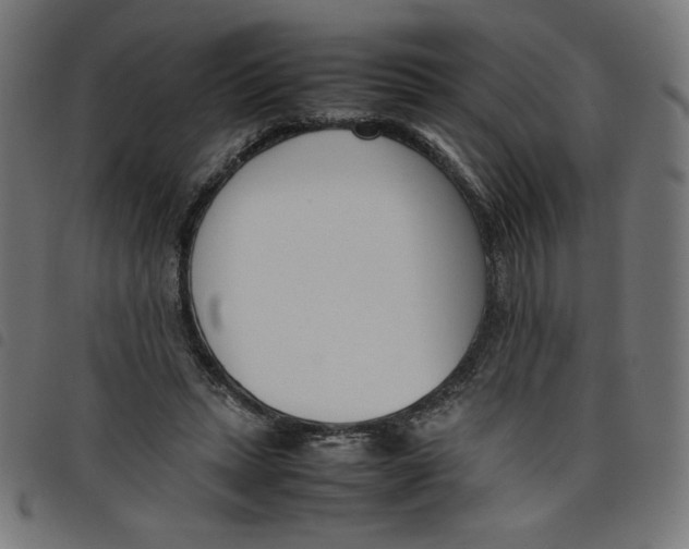 X0000098100447200804251408