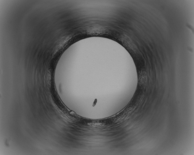 X0000098100448200804251408