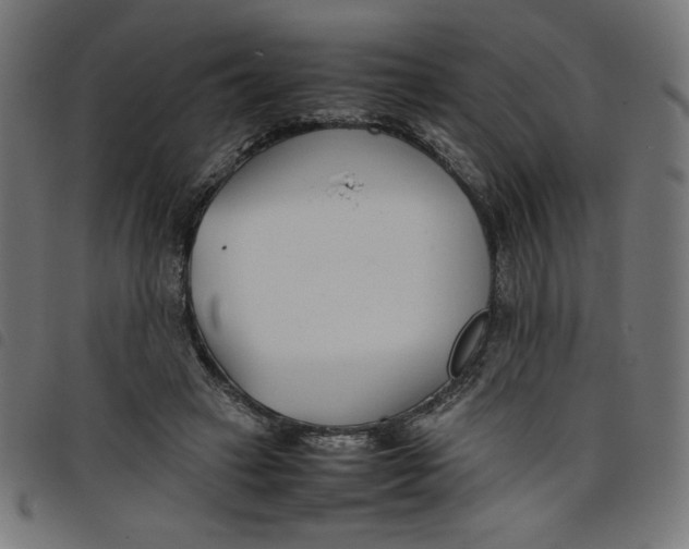 X0000098100449200804251408