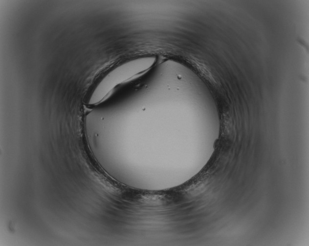 X0000098100450200804251408