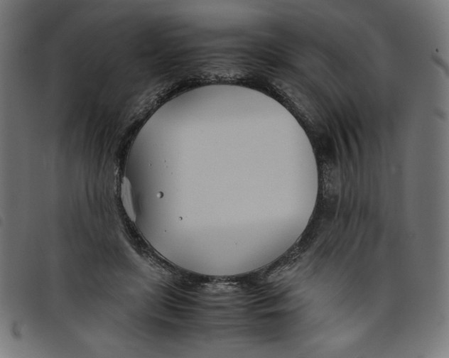 X0000098100451200804251408