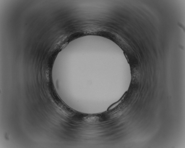 X0000098100452200804251408