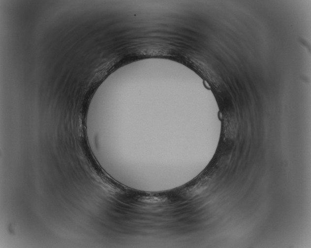 X0000098100453200804251408