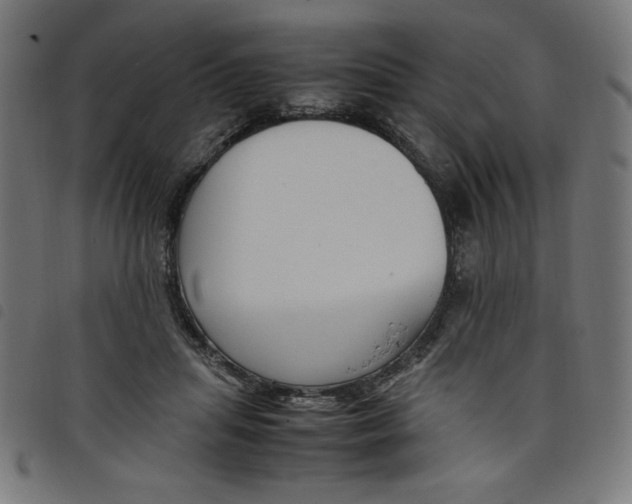 X0000098100455200804251408