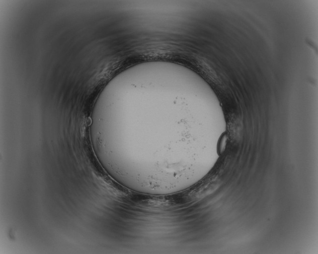 X0000098100458200804251408