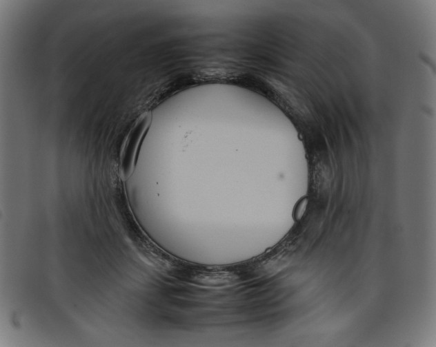 X0000098100459200804251408