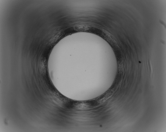 X0000098100460200804251408