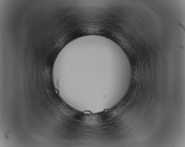 X0000098100461200804251408
